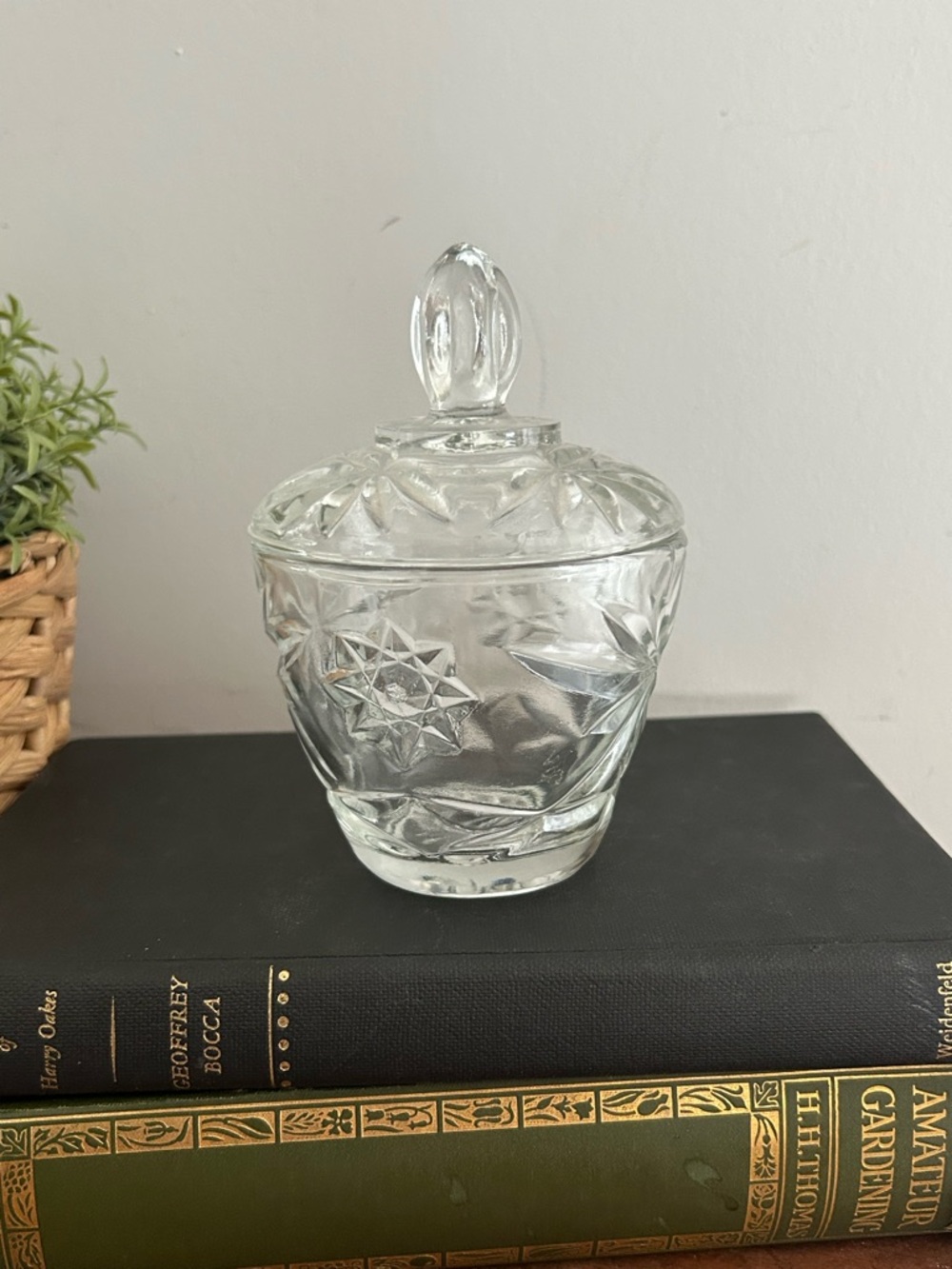 Vintage Clear Pressed Glass Candy Dish Trinket Jar w/Lid Star burst 5 1/2" H